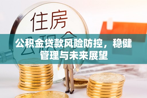 茄萣公积金贷款风险防控，稳健管理与未来展望
