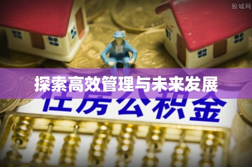 茄萣探索高效管理与未来发展