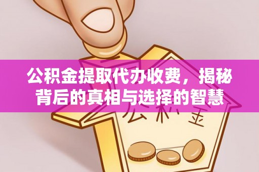 茄萣公积金提取代办收费，揭秘背后的真相与选择的智慧