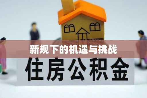 茄萣新规下的机遇与挑战