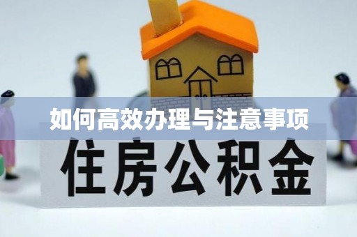 茄萣如何高效办理与注意事项