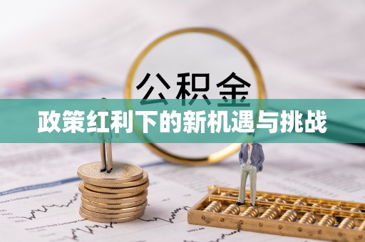 茄萣政策红利下的新机遇与挑战