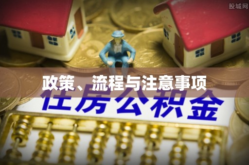 茄萣政策、流程与注意事项
