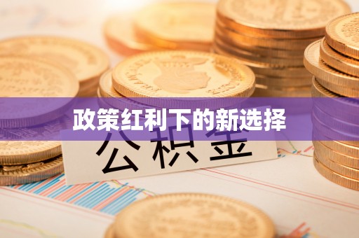 茄萣政策红利下的新选择