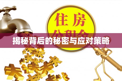 茄萣揭秘背后的秘密与应对策略