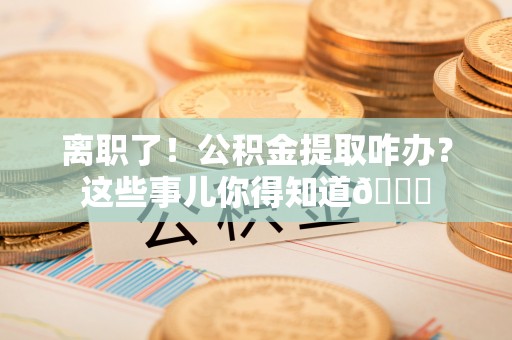 茄萣离职了！公积金提取咋办？这些事儿你得知道😎