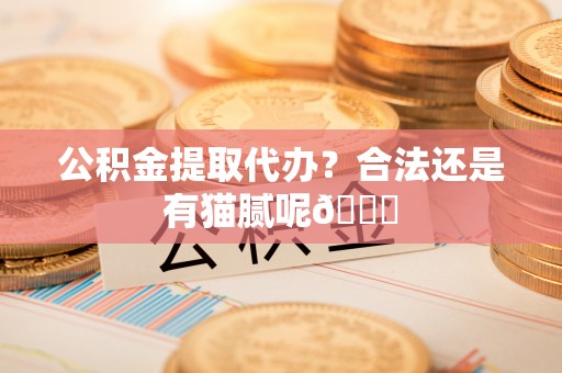 茄萣公积金提取代办？合法还是有猫腻呢😏