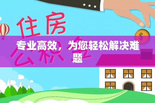 茄萣专业高效，为您轻松解决难题