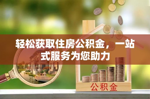茄萣轻松获取住房公积金，一站式服务为您助力