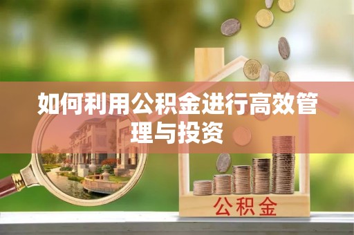 茄萣如何利用公积金进行高效管理与投资
