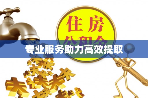 茄萣专业服务助力高效提取
