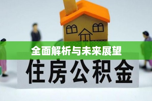 茄萣全面解析与未来展望