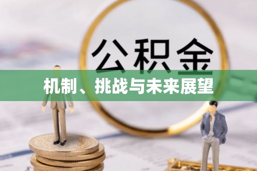 茄萣机制、挑战与未来展望